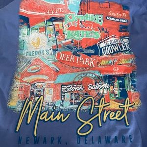 The University of Delaware, Newark, Delaware sweatshirt, “The 302”